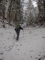 Bild 4 (55 Bildaufrufe)