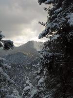 Salzstein (83 Bildaufrufe)