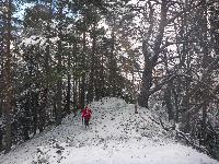 Bild 10 (66 Bildaufrufe)