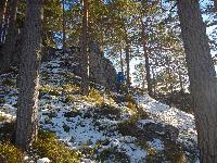Bild 4 (53 Bildaufrufe)