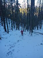 Bild 14 (103 Bildaufrufe)