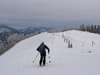 Bild 9 (95 Bildaufrufe)
