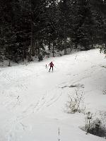 Bild 13 (88 Bildaufrufe)