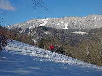 Tirolerkogel (71 Bildaufrufe)