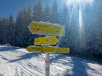 Bild 7 (90 Bildaufrufe)