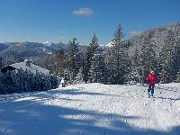 Tirolerkogel (121 Bildaufrufe)