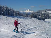 Tirolerkogel (85 Bildaufrufe)