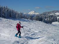 Tirolerkogel (78 Bildaufrufe)