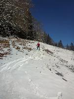 Bild 14 (74 Bildaufrufe)