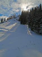 Bild 18 (85 Bildaufrufe)