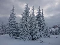 Bild 26 (75 Bildaufrufe)