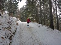 Bild 28 (134 Bildaufrufe)