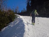 Bild 1 (105 Bildaufrufe)