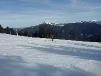 Bürgeralpe (84 Bildaufrufe)
