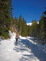 Bild 1 (98 Bildaufrufe)