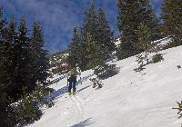 Bild 9 (92 Bildaufrufe)