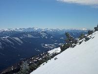 Bild 11 (89 Bildaufrufe)