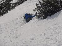 Bild 18 (98 Bildaufrufe)