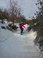 Bild 21 (91 Bildaufrufe)