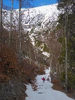 Bild 25 (81 Bildaufrufe)