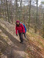 Bild 19 (111 Bildaufrufe)
