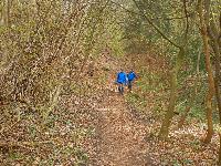 Bild 28 (143 Bildaufrufe)