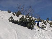 Bild 6 (67 Bildaufrufe)