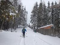 Bild 4 (73 Bildaufrufe)