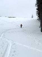 Bild 11 (78 Bildaufrufe)