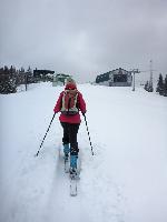 Bild 14 (80 Bildaufrufe)