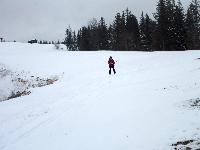 Bild 19 (56 Bildaufrufe)