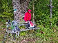 Bild 8 (61 Bildaufrufe)