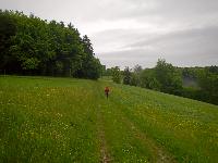 Bild 12 (66 Bildaufrufe)