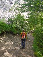 Bild 3 (70 Bildaufrufe)