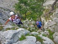 Bild 10 (81 Bildaufrufe)