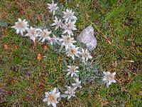 Bild 19 (78 Bildaufrufe)