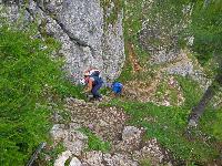 Bild 27 (63 Bildaufrufe)