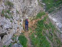 Jakobskogel (65 Bildaufrufe)