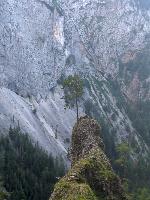 Jakobskogel (64 Bildaufrufe)