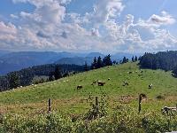 Bild 5 (72 Bildaufrufe)