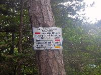 Bild 1 (65 Bildaufrufe)