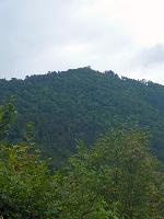 Bild 5 (64 Bildaufrufe)