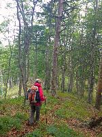 Bild 11 (72 Bildaufrufe)