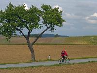 Buschberg (46 Bildaufrufe)
