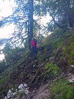 Bild 4 (44 Bildaufrufe)