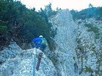 Bild 6 (51 Bildaufrufe)