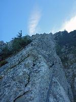 Bild 11 (44 Bildaufrufe)