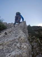 Bild 12 (49 Bildaufrufe)