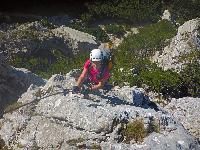 Bild 19 (43 Bildaufrufe)