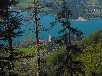 Bild 1 (65 Bildaufrufe)